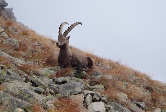 zermatt2